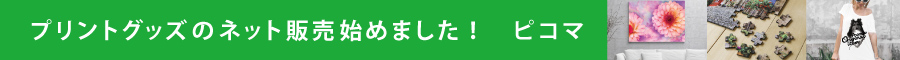 プリントグッズのネット販売始めました！ ピコマ