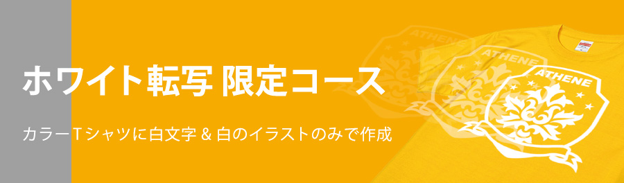 ホワイト転写 限定コース